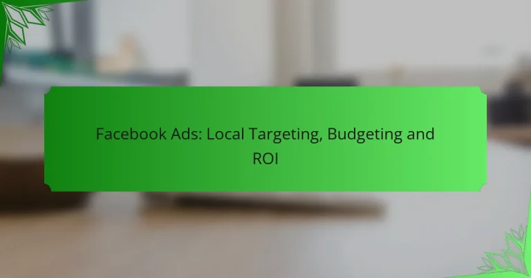 Facebook Ads: Segmentación Local, Presupuesto y ROI
