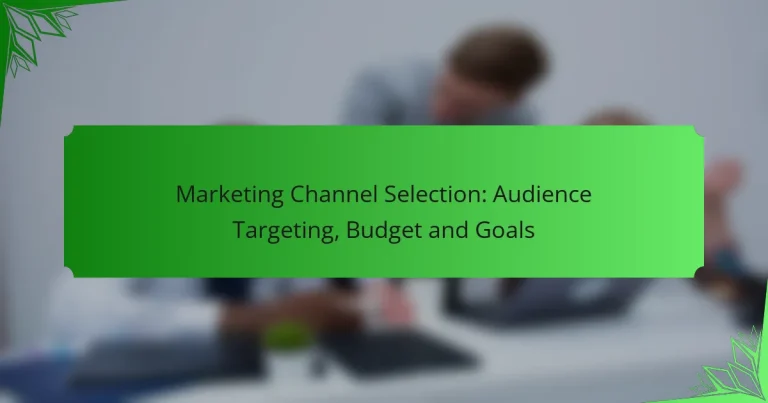 Selección de Canal de Marketing: Segmentación de Audiencia, Presupuesto y Objetivos